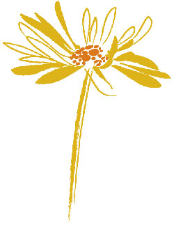 Arnica Mums Logo